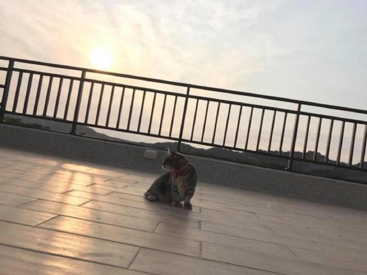 Sunny Sky Homestay Yujing Esterno foto